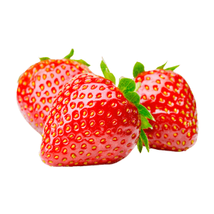 Fournisseur de fraises Avignon