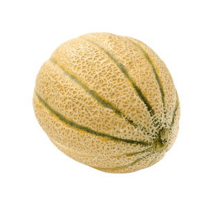 Fournisseur pro Melon