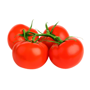 Grossiste Tomates Avignon