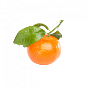 Clémentine CORSE (Kg) 🇫🇷