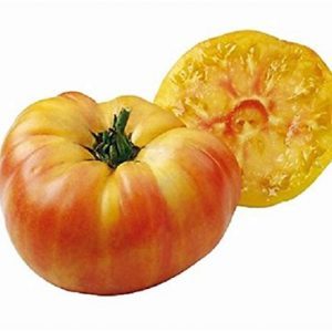 Tomate Ananas 🇫🇷