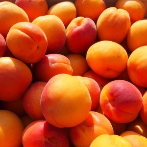 Abricot Orange Red FR